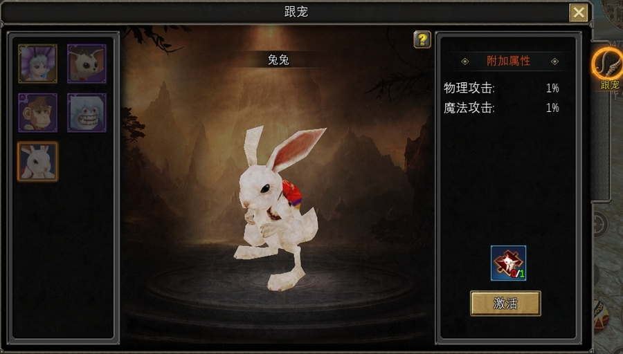 跟宠小白兔.jpg